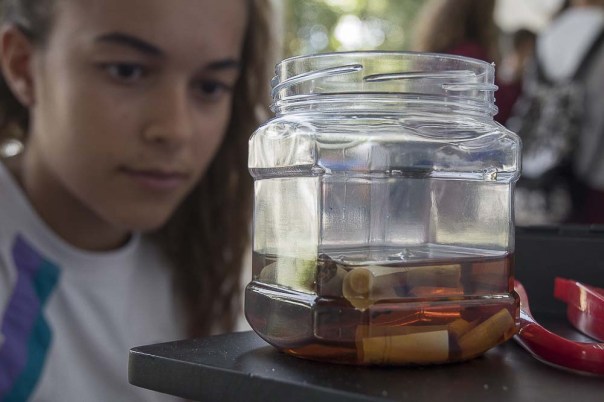 Miniferias Tenerife - Concísate (7)